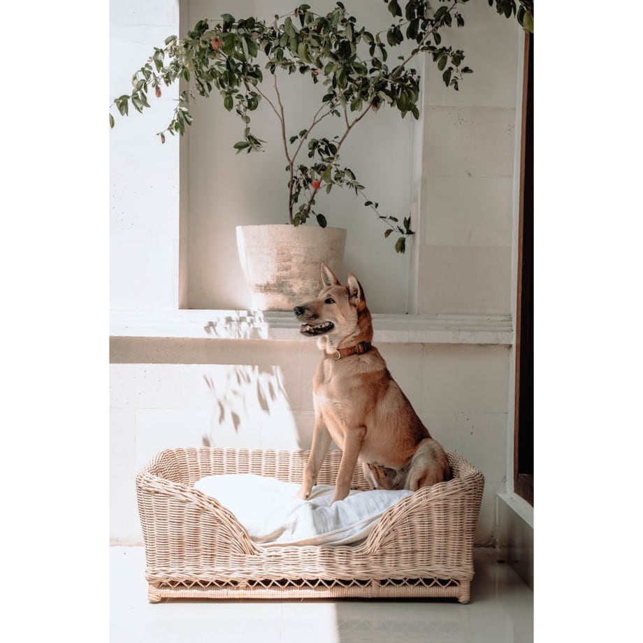 KALUA LEGOWISKO KOSZ DLA PSA L