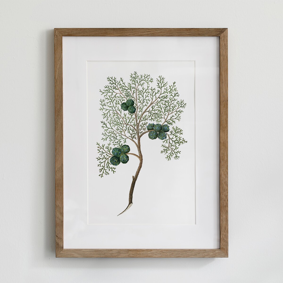 Plakat Cyprys 21x30cm