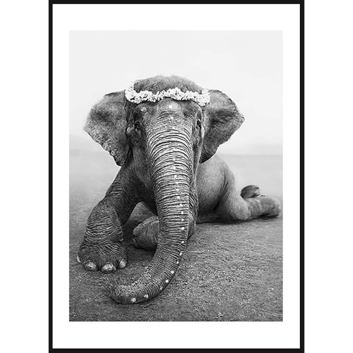 Poster Story, Plakat, Obraz - Słoń Boho, wymiary 21 x 30 cm