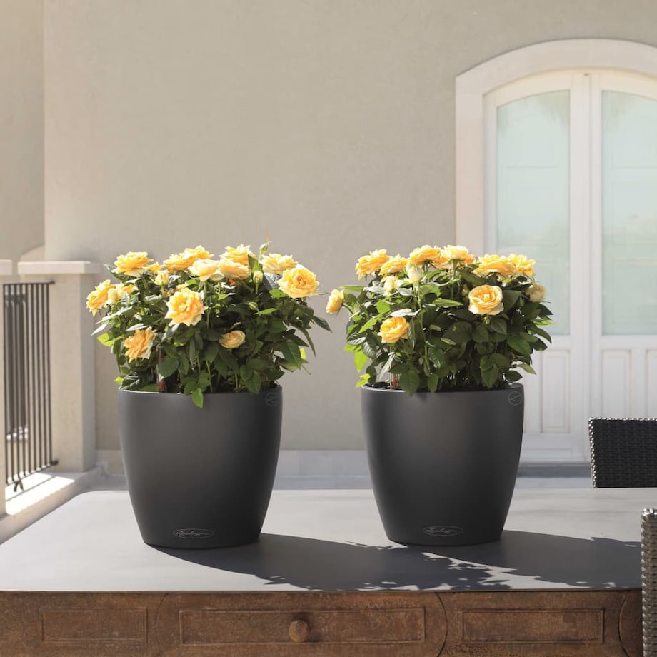 LECHUZA Donica Classico Color 28 ALL-IN-ONE, ciemnoszara, 13204