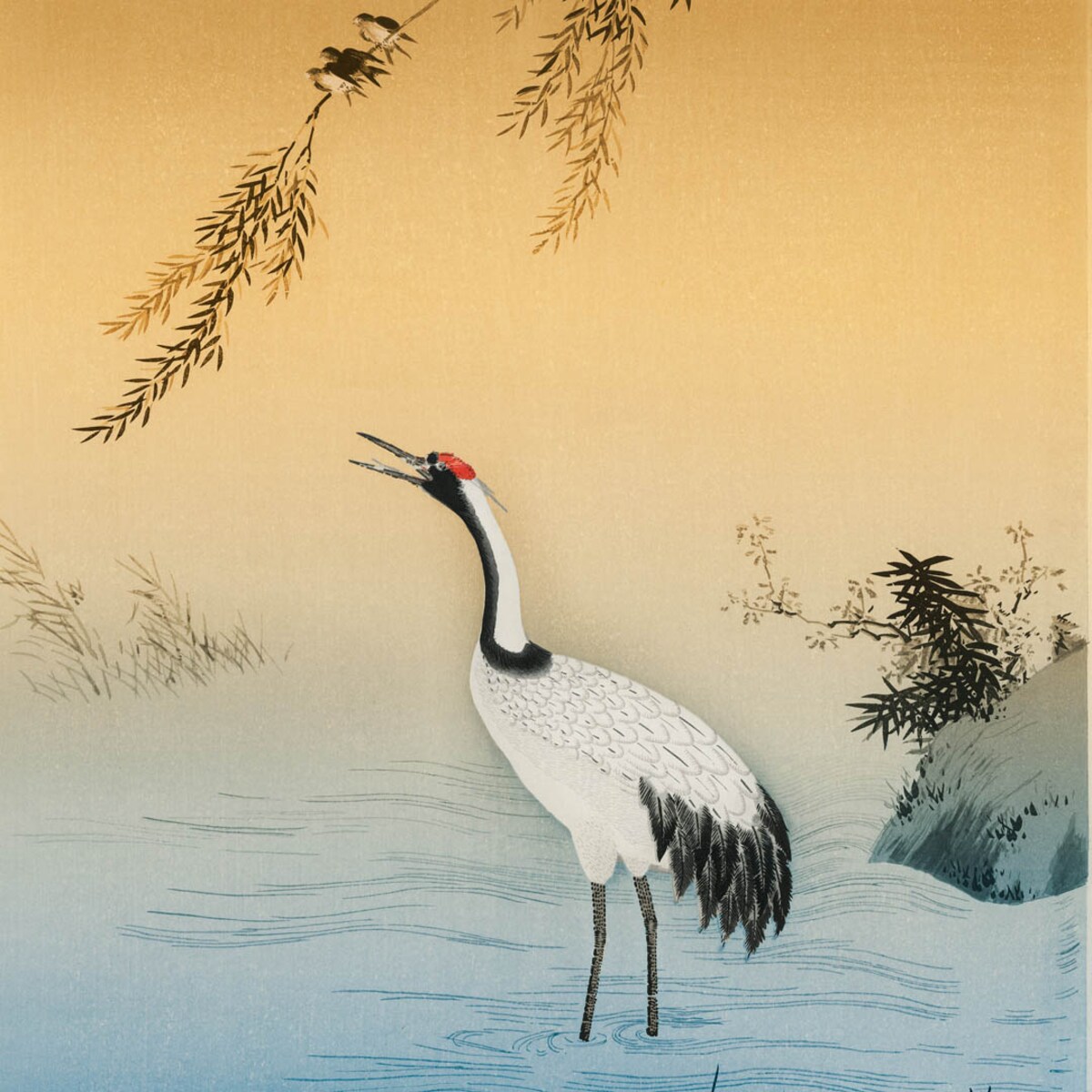 bawełniana poszewka na poduszkę - Żuraw i zachodzące słońce 45x45 cm