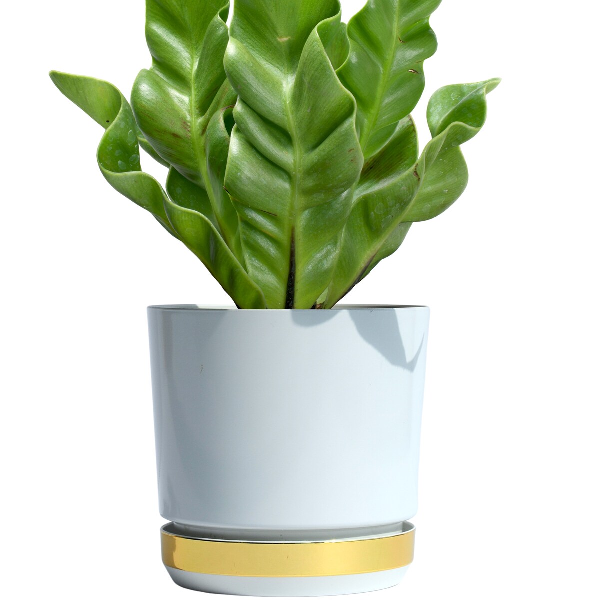 16 Doniczka DUO BIAŁA z podstawką ZŁOTO B. dwukolorowa nowoczesna z połyskiem drenażem elegancka