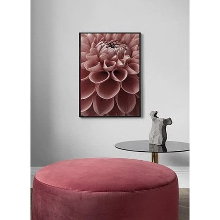 Poster Story, Plakat, Obraz - Różowa Dalia, wymiary 70 x 100 cm