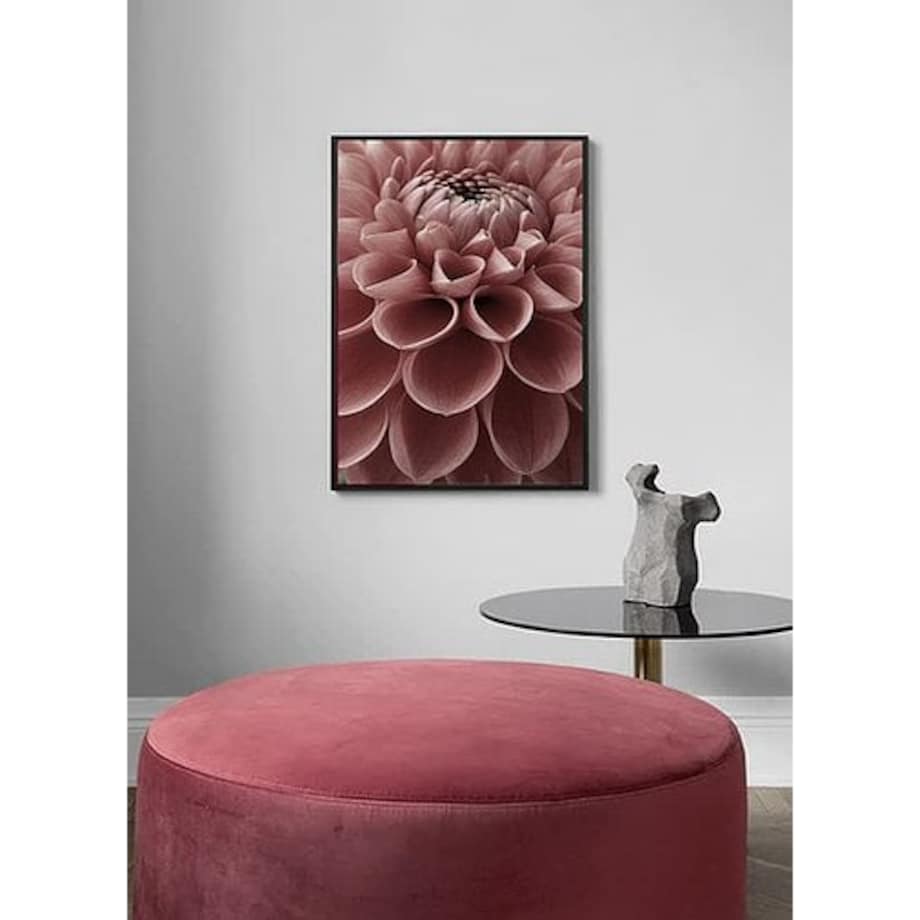 Poster Story, Plakat, Obraz - Różowa Dalia, wymiary 70 x 100 cm