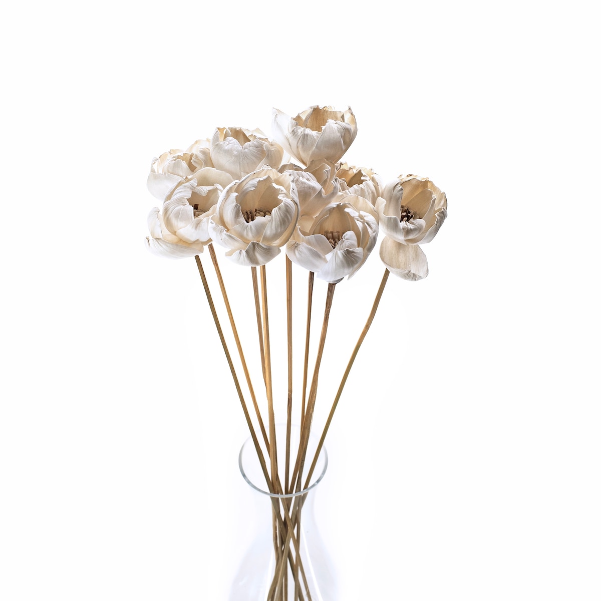 Kwiat shola - magnolia biała/kremowa 6cm na łodydze