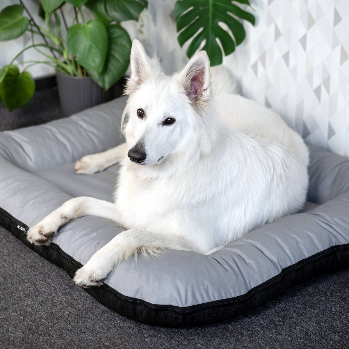 Wodoodporny materac dla psa ponton KLEO, 110x90 cm, Szary