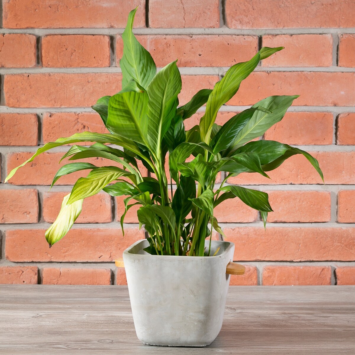 DONICZKA OSŁONKA SZARA BETONOWA 17cm kwadratowa na zioła kwiaty balkon