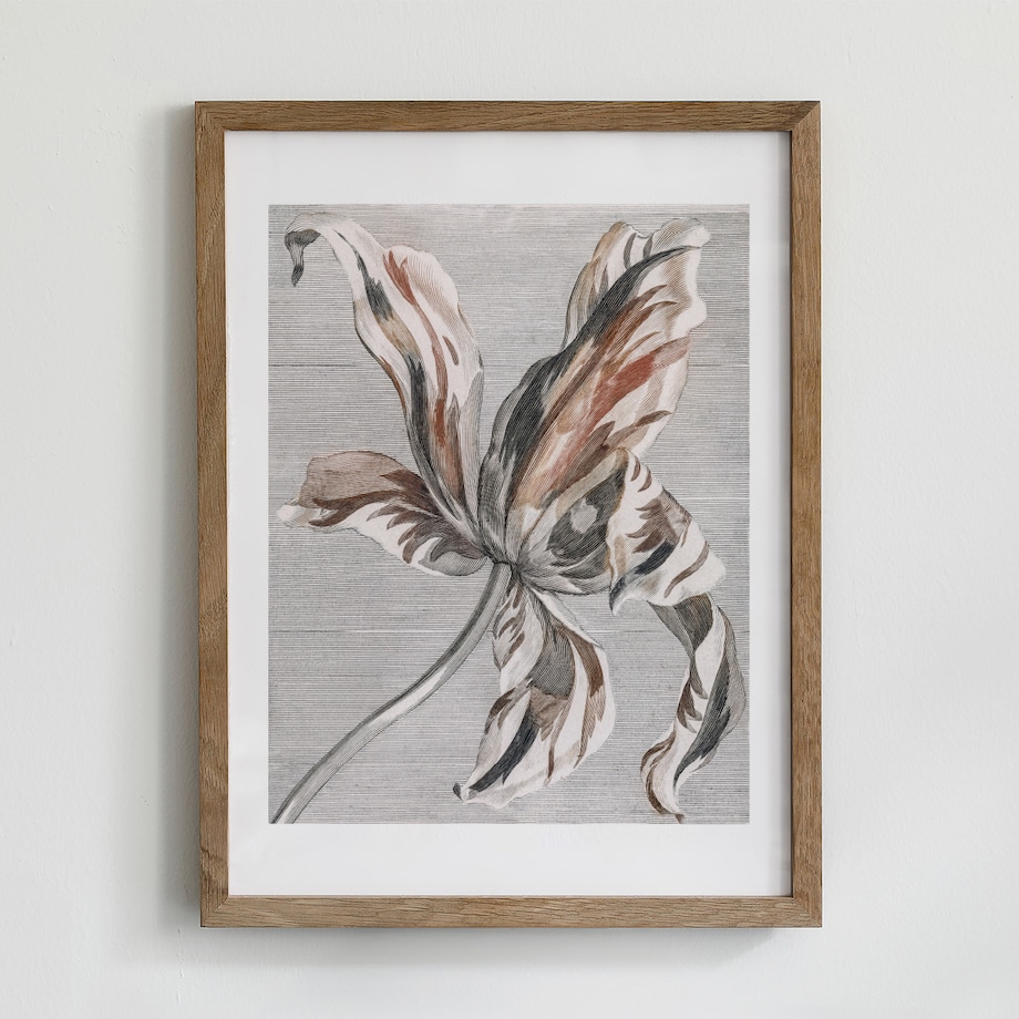 Plakat Tulipan 21x30cm