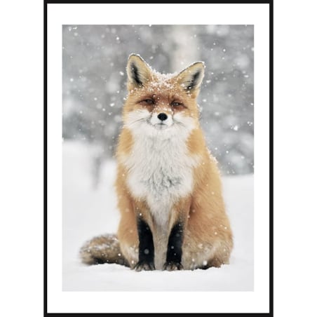 Poster Story, Plakat, Obraz - Lis w Płatkach Śniegu, wymiary 70 x 100 cm