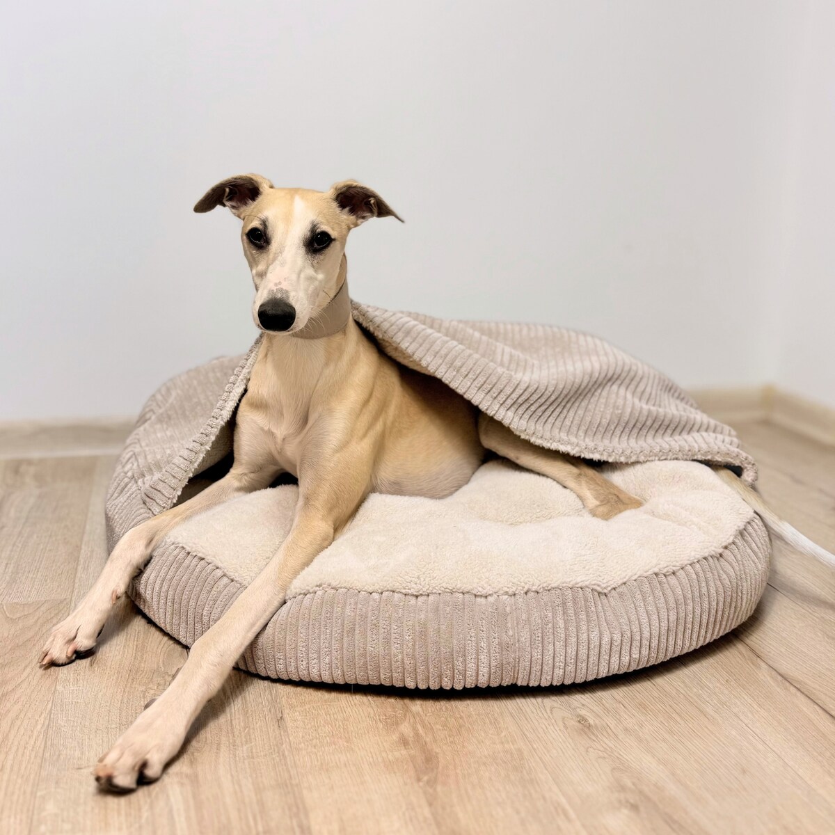 Legowisko z kapturem VIGO, 90 cm, Beż