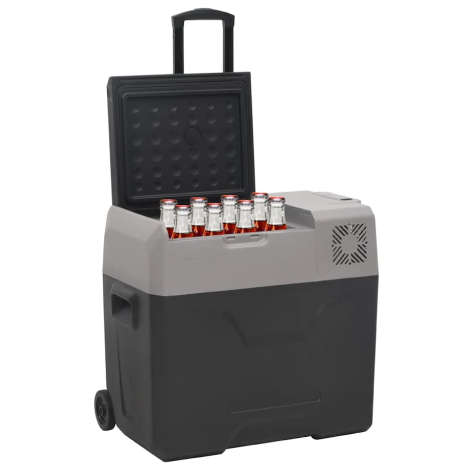 vidaXL Lodówka na kółkach, z zasilaczem, czarno-szara, 30 L, PP