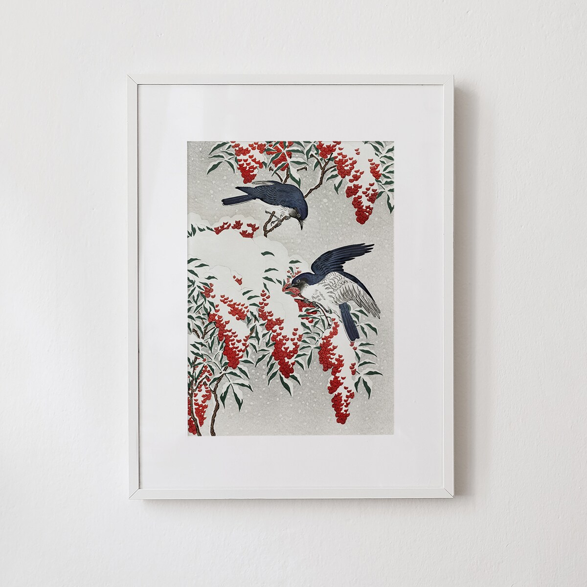 Plakat Muchołówki Zimą w Białej Ramce