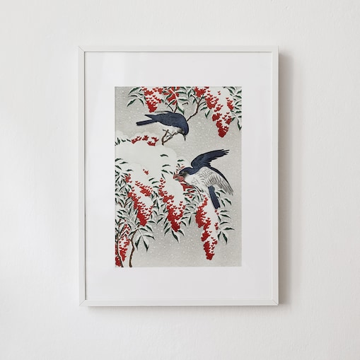 Plakat Muchołówki Zimą w Białej Ramce