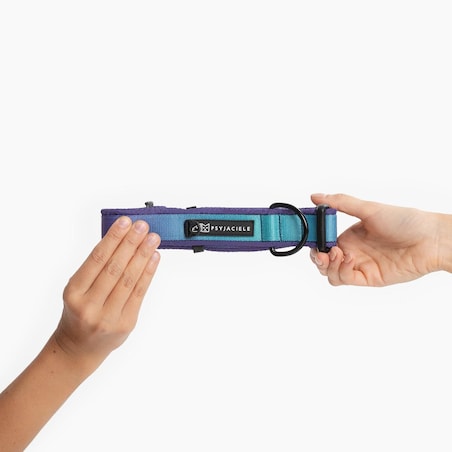 Obroża z klamrą SUPER SOFT "Under my ombrella" TURKUS - Szerokość taśmy: 38mm, Rozmiar: M