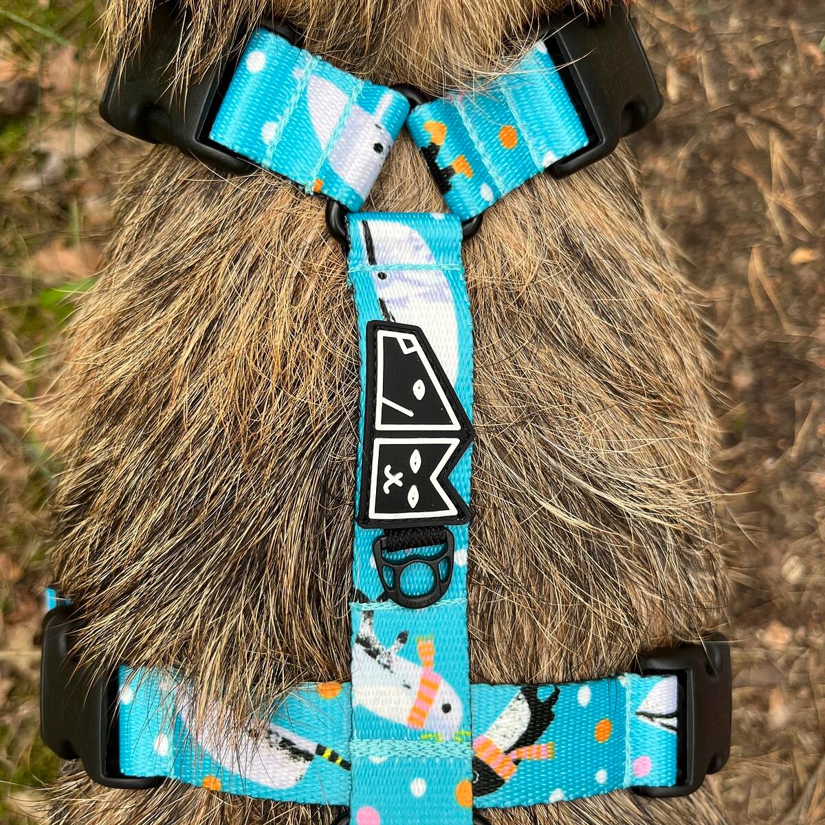 Szelki guard Stay on "Łot de fok?" - Szerokość taśmy: 38mm, Rozmiar: XL