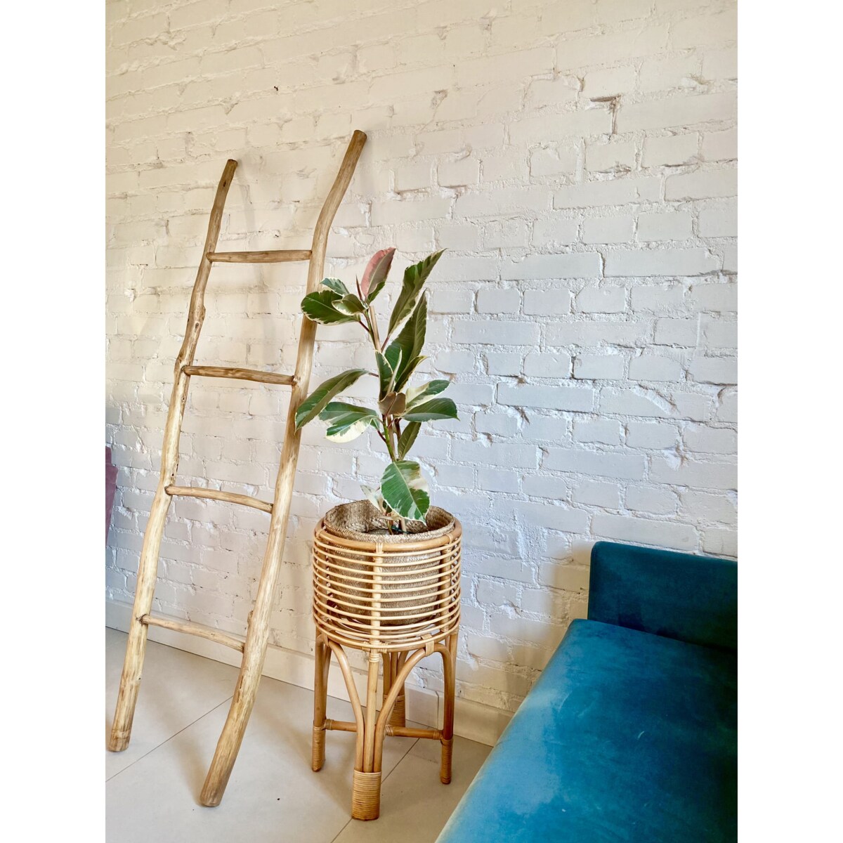 KWIETNIK POLLIE XL NATURALNY