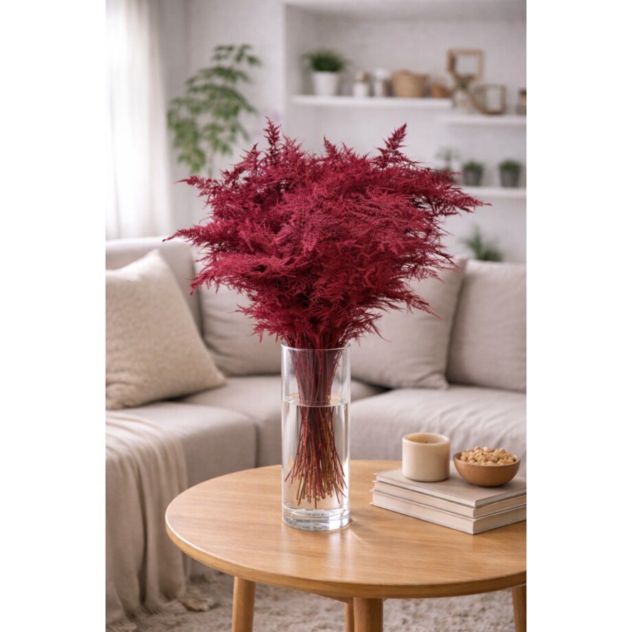 Asparagus Coral – bukiet , 50 szt., wysokość ok. 80 cm, 550–600 g