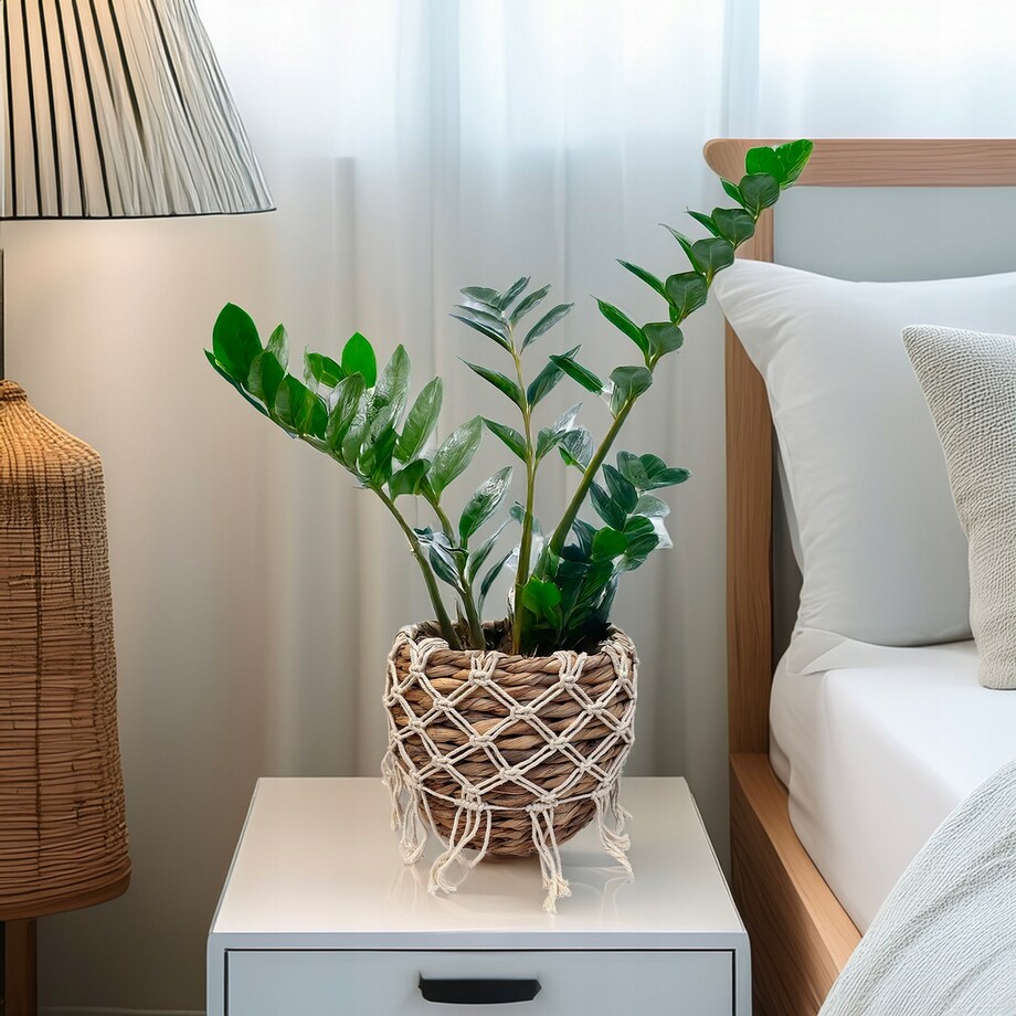 DONICZKA BOHO 28cm naturalna z makramą osłonka donica do salonu palmy