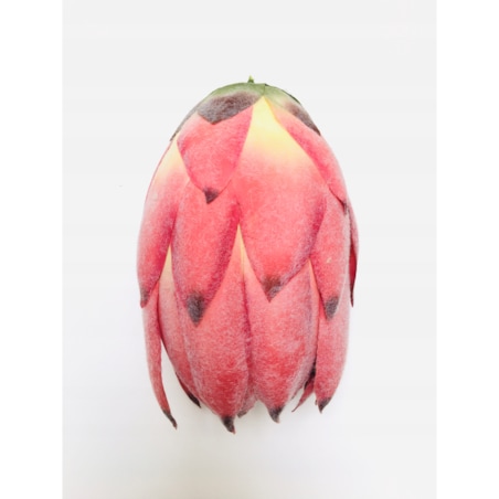 KARCZOCH SZTUCZNY do dekoracji wiązanki stroika duży podłużny 1szt