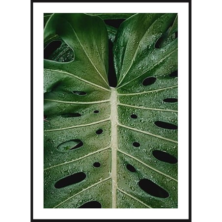 Poster Story, Plakat, Obraz - Liść z Dziurami, wymiary 60 x 84 cm