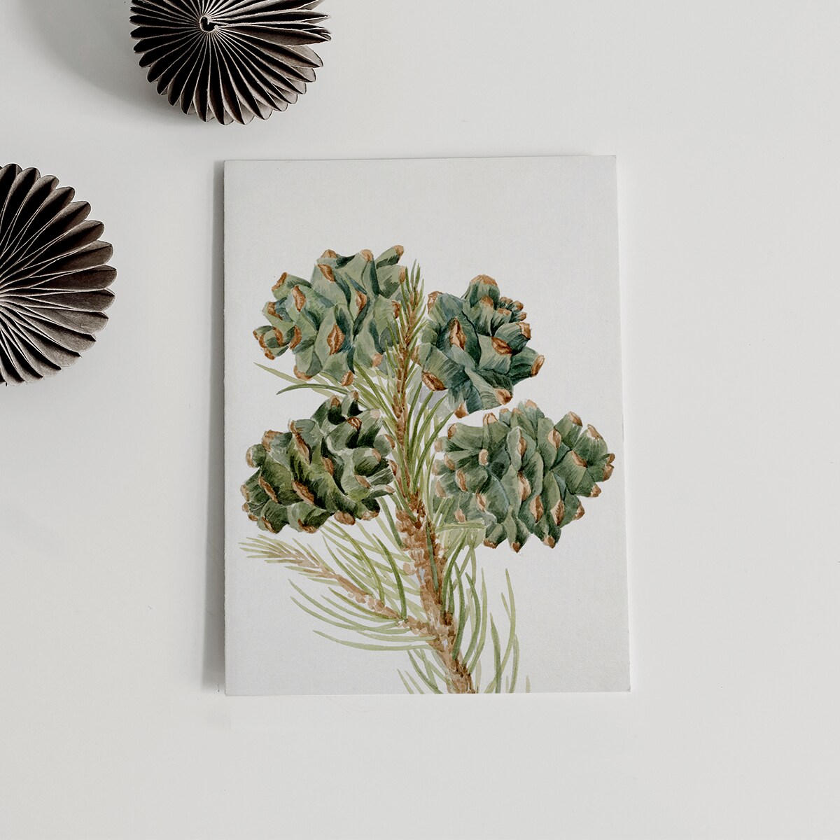 Plakat Gałązka Sosny z Szyszkami 21x30cm