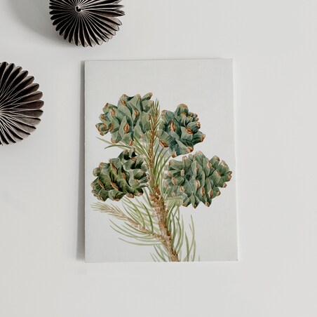 Plakat Gałązka Sosny z Szyszkami 21x30cm