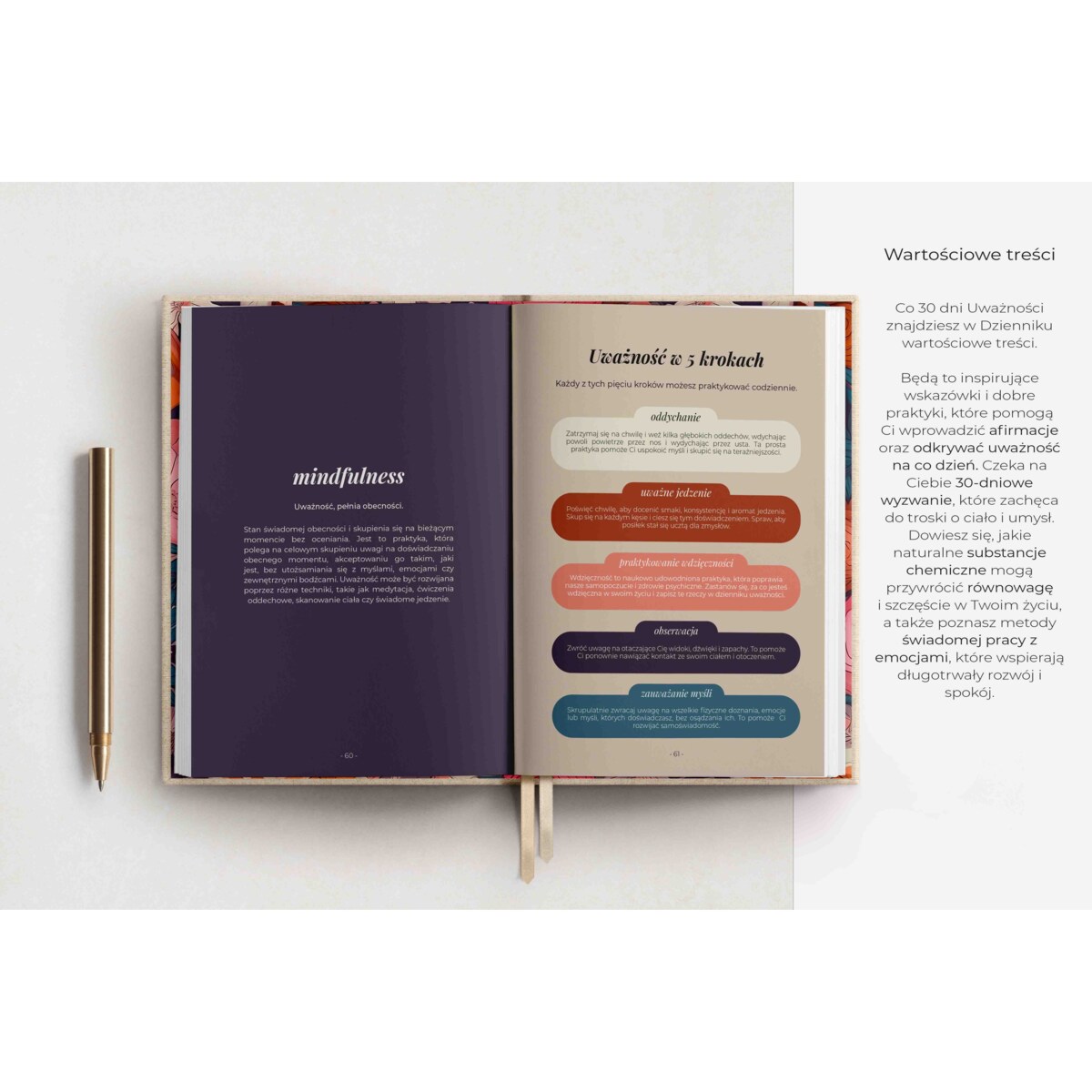 Dziennik uważności - SANDY