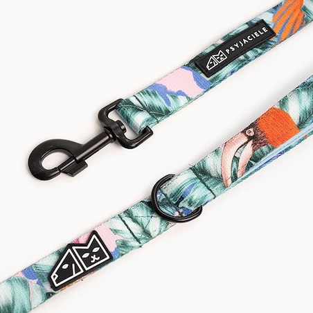 Smycz miejska dla psa lub kota "Mokry sen kury"