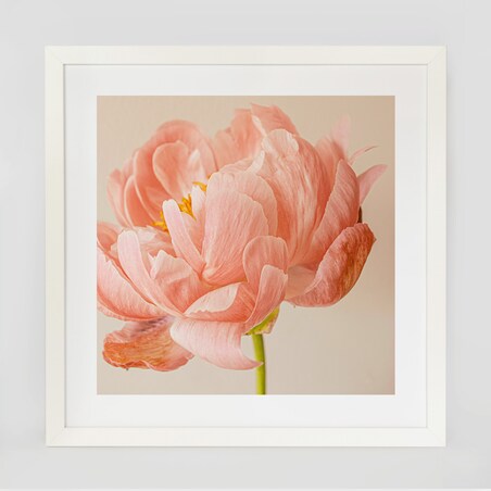 Ramka na zdjęcia 40x40 cm biała rama MDF z plexi do powieszenia pion poziom klasyczna kwadratowa ramka FRAMAI®