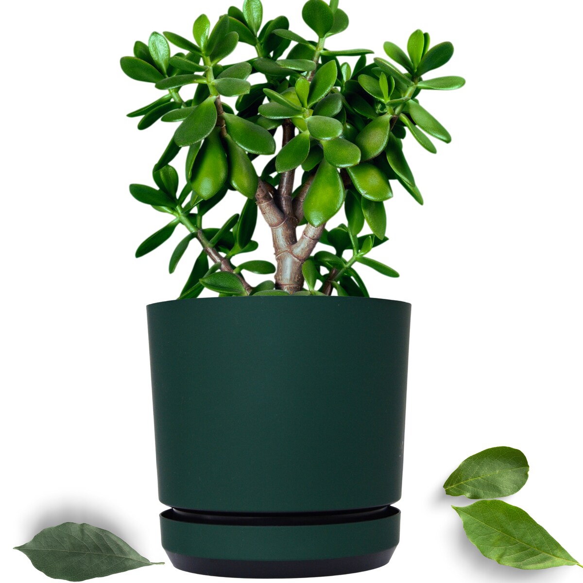 18 cm wzór ZIELONA BUTELKOWA Doniczka z podstawką ciemna zieleń satynowa matowa