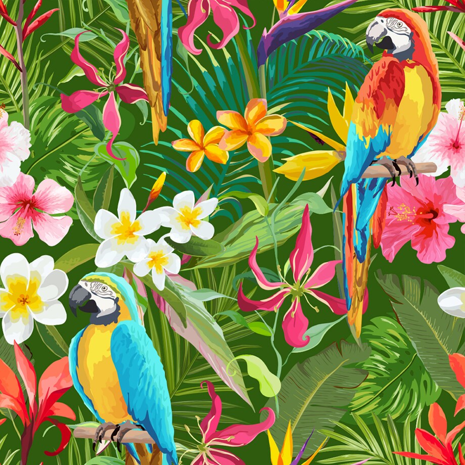 Tapeta Tropikalne KWIATY Liście Papugi Natura