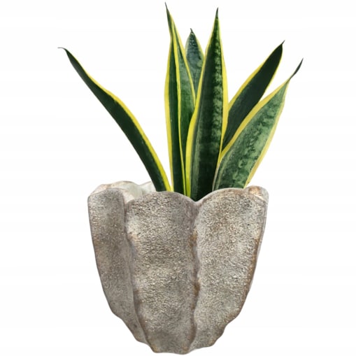 DONICZKA BETONOWA SZARA 16cm osłonka na doniczkę parapet zamiokulkas bonsai