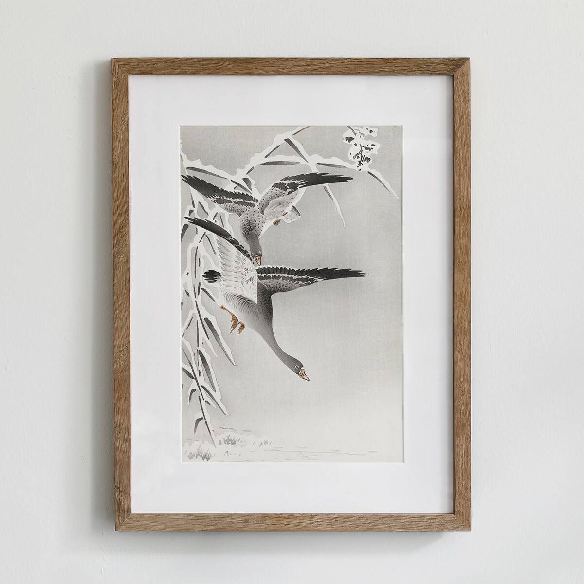 Plakat Gęsi 30x40cm