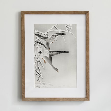 Plakat Gęsi 30x40cm