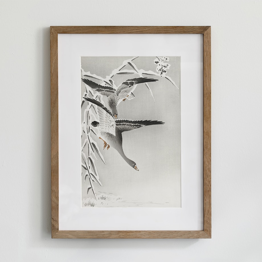 Plakat Gęsi 30x40cm