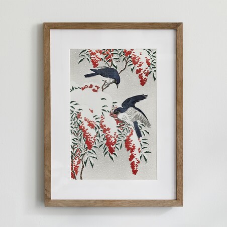 Plakat Muchołówki Zimą 21x30cm