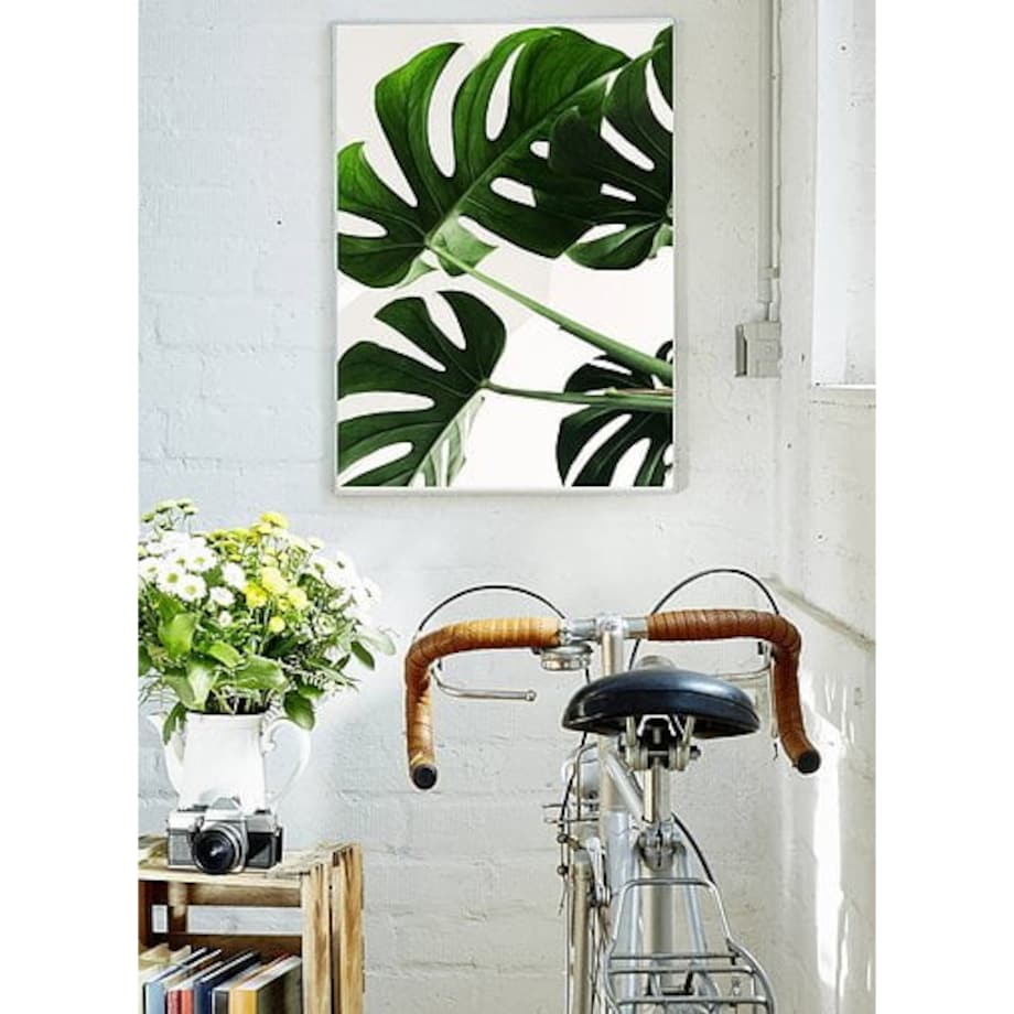 Poster Story, Plakat, Obraz - Monstera Domowa, wymiary 21 x 30 cm