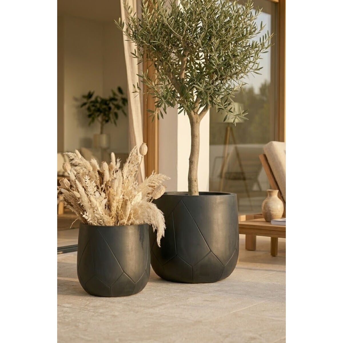 DONICZKA ODELLE GRAPHITE S
