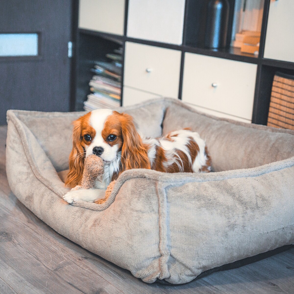 Ortopedyczne legowisko dla psa IRIS, 80x60 cm, Brąz