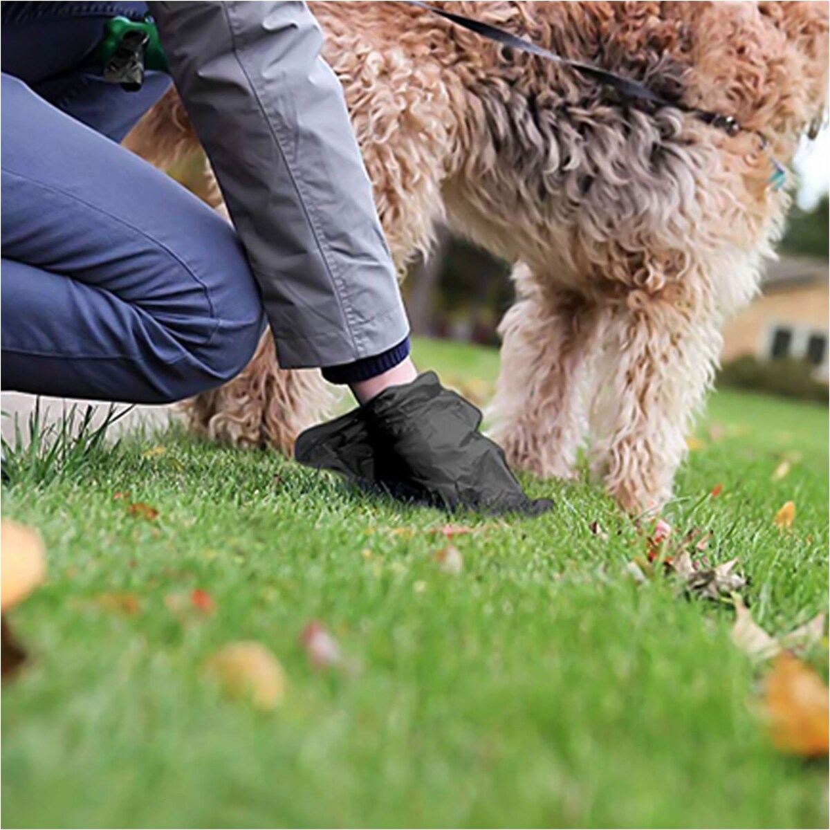 Woreczki Worki Na Psie Odchody 90 Worków 6 Rolek Biodegradowalne