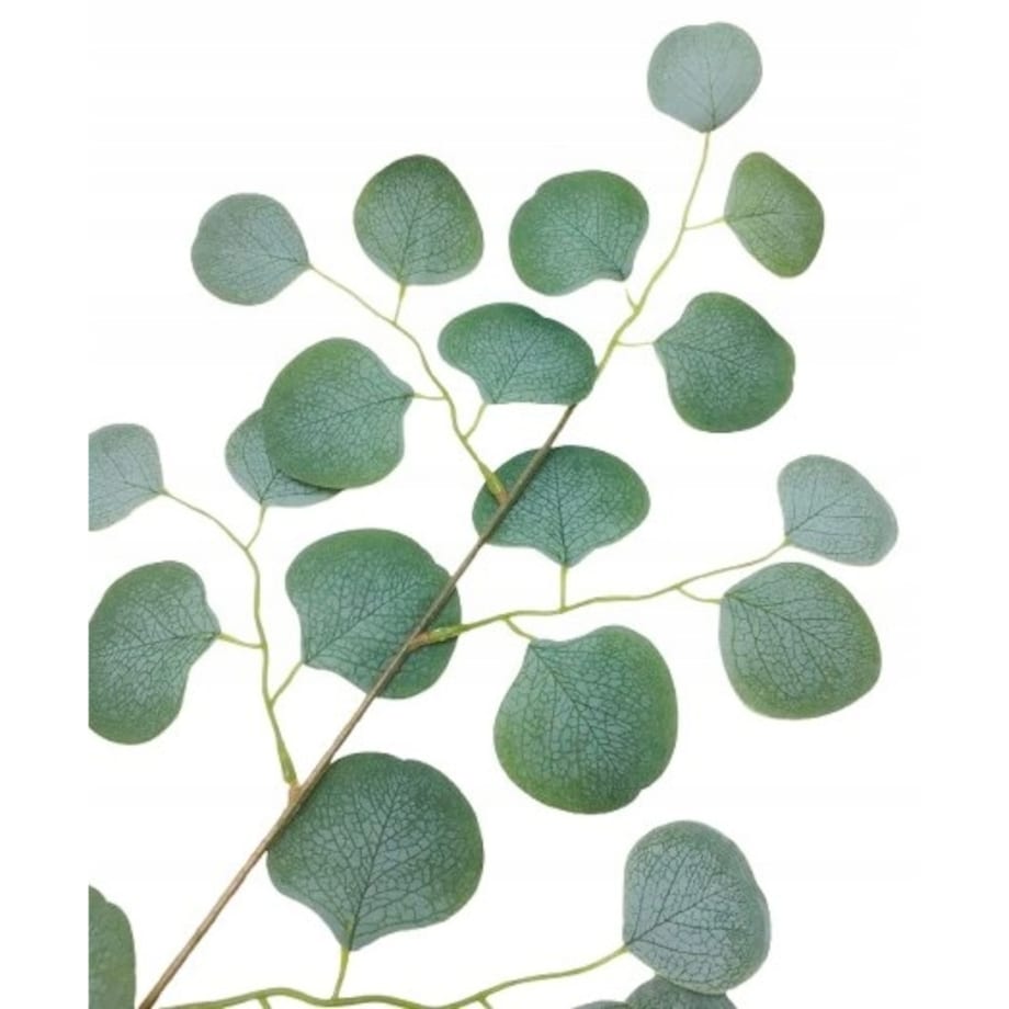 DUŻA ŁODYGA LIŚCIE EUKALIPTUS gałązka do wiązanki dekoracji stroika sztuczn