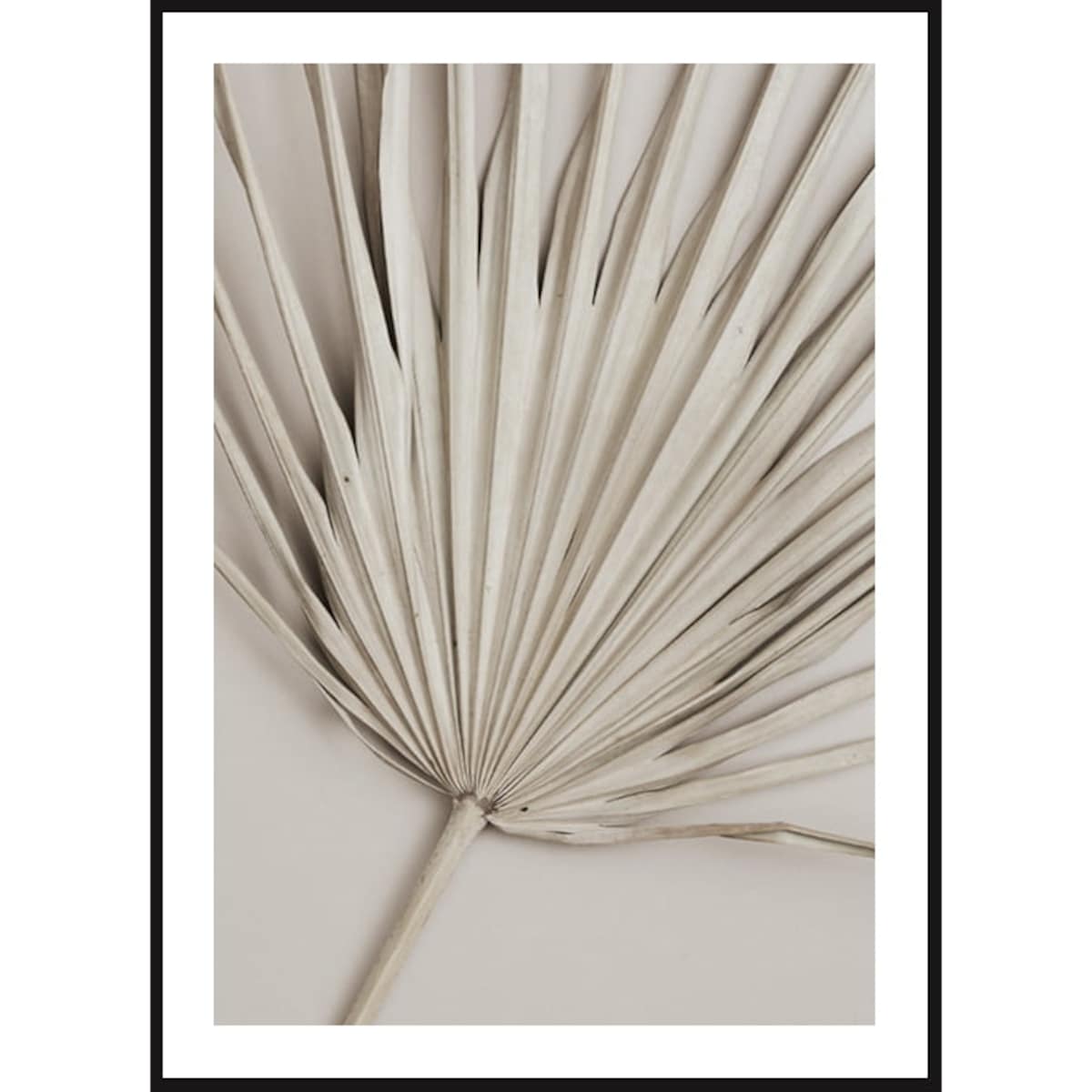 Poster Story, Plakat, Obraz - Beżowa Palma No1, wymiary 70 x 100 cm