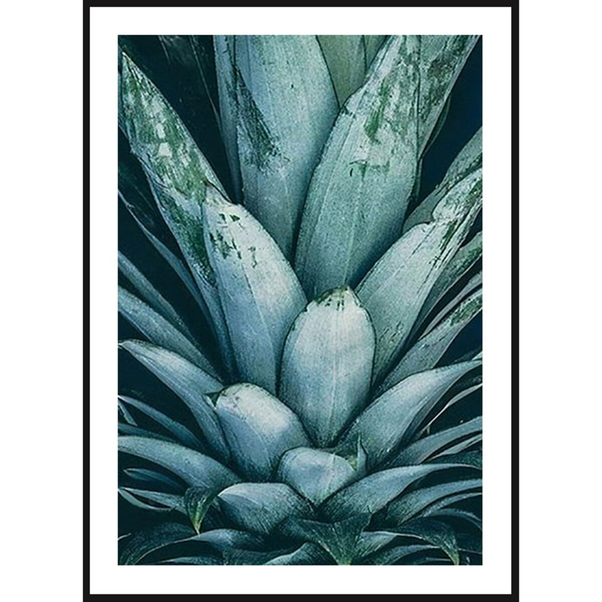 Poster Story, Plakat, Obraz - Korona Ananasa, wymiary 30 x 42 cm