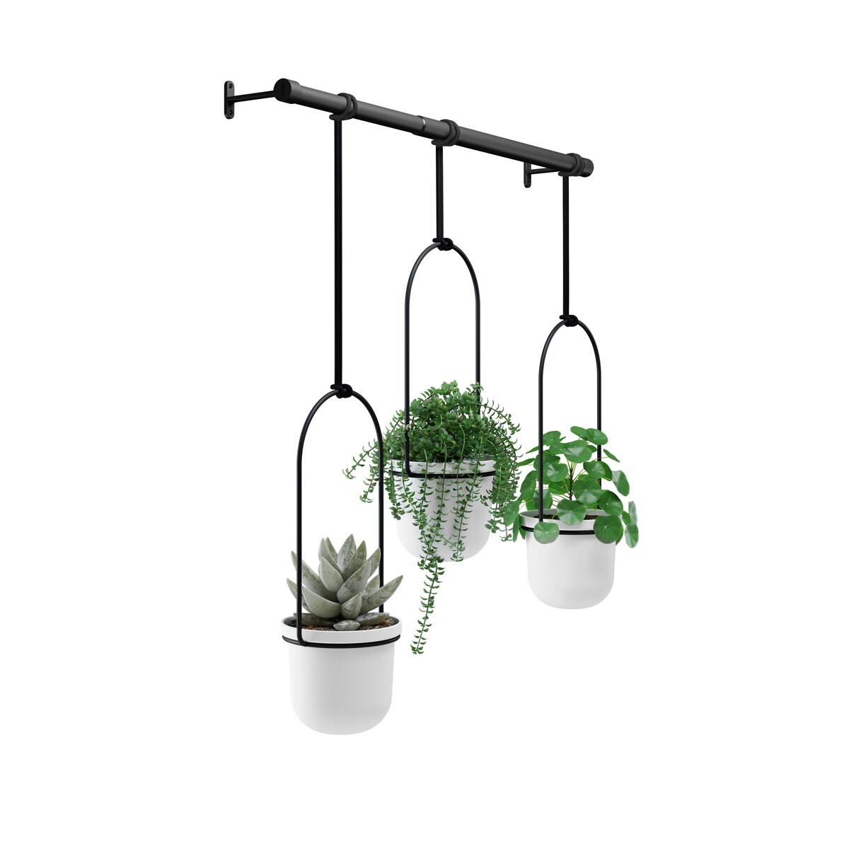 Kwietnik (biało-czarny) Triflora Umbra