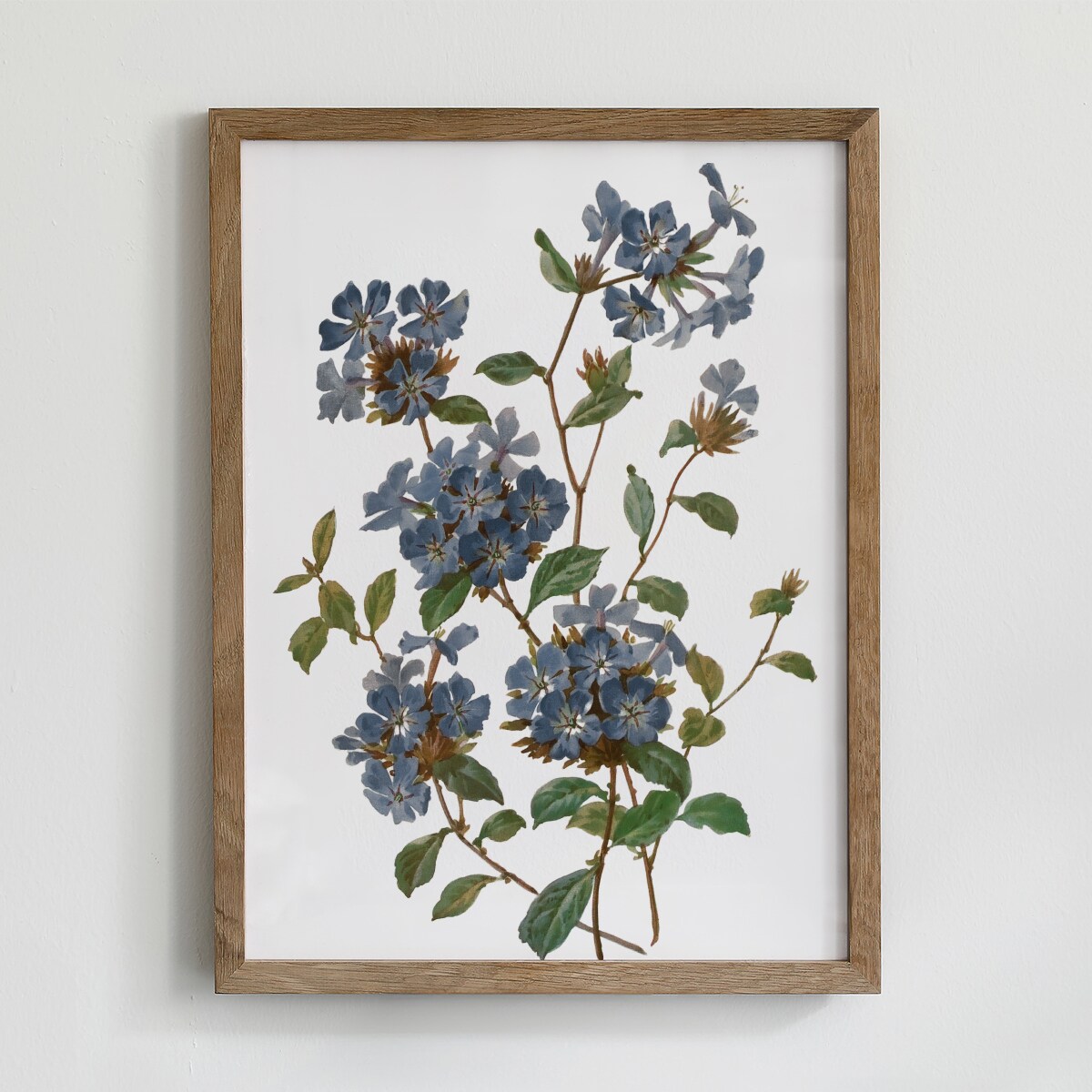 Zestaw 6 Ilustracji 30x40cm