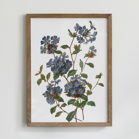 Zestaw 6 Ilustracji 30x40cm