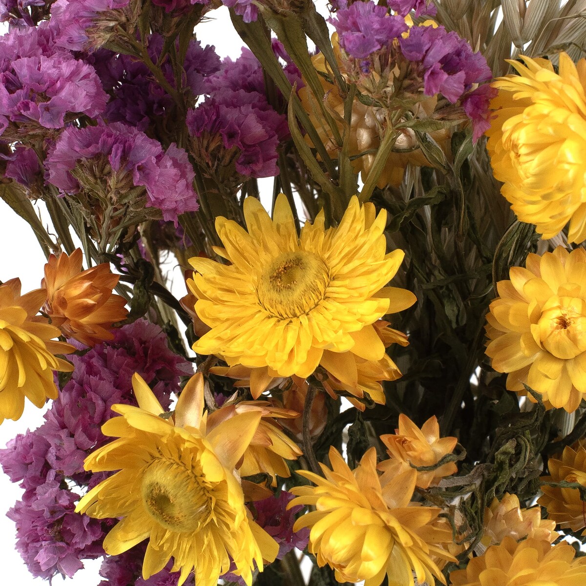 Zestaw suszonych kwiatów Rosa - suszone kwiaty do wazonu