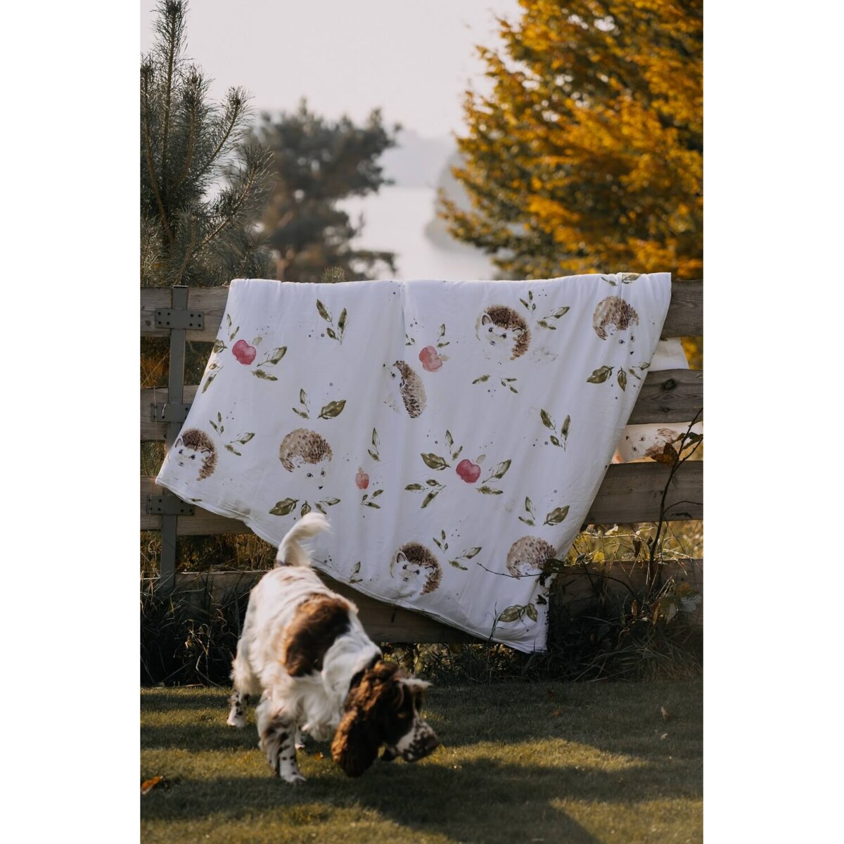 Pościel Jeże 140x200 cm + 1 x 70x80 cm