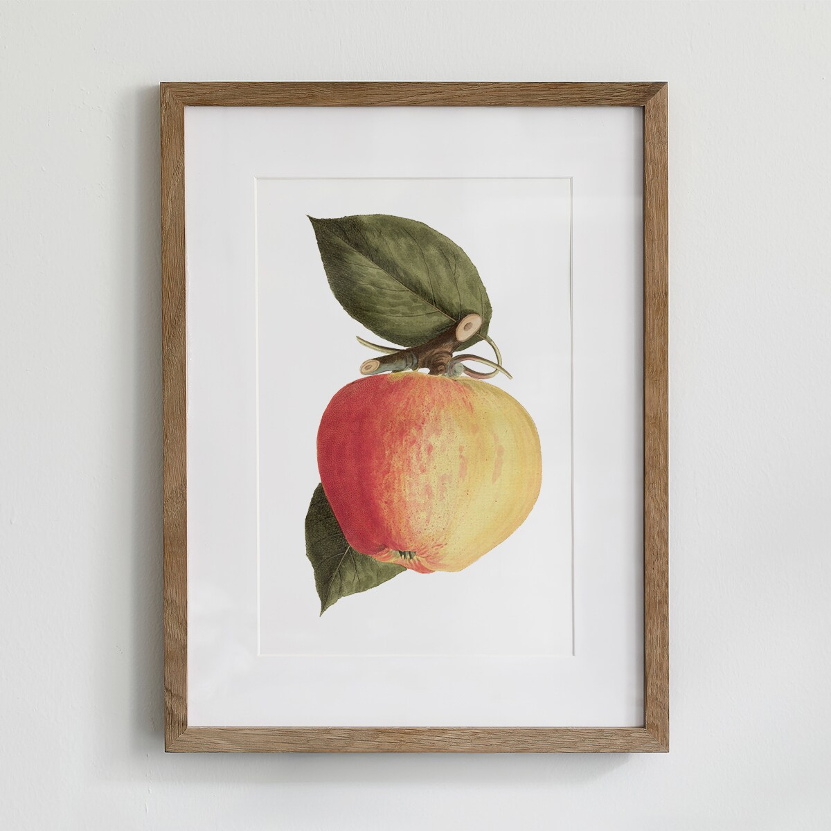 Plakat dojrzałe jabłko 30x40cm