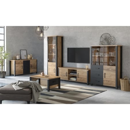 Witryna OLIN 2D3S appenzeller fichte/czarna